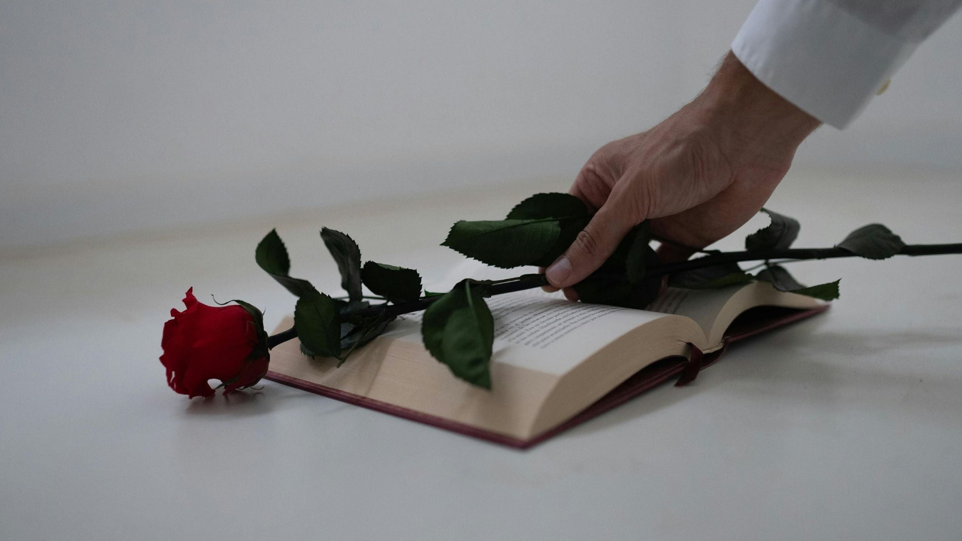 rose with a book