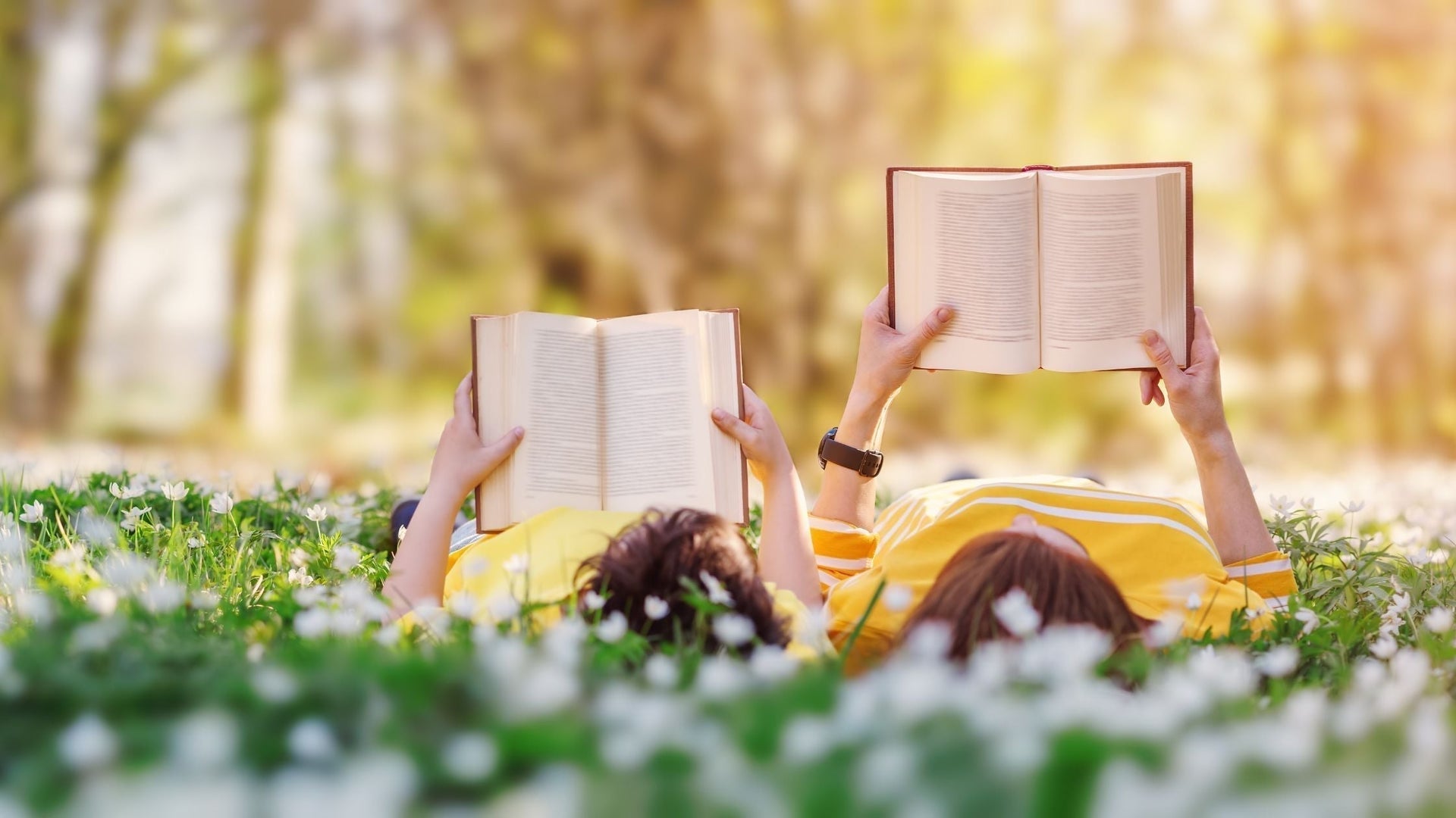 Bookaholic Essentials: Your Ultimate Guide to Books and Reading Comfort